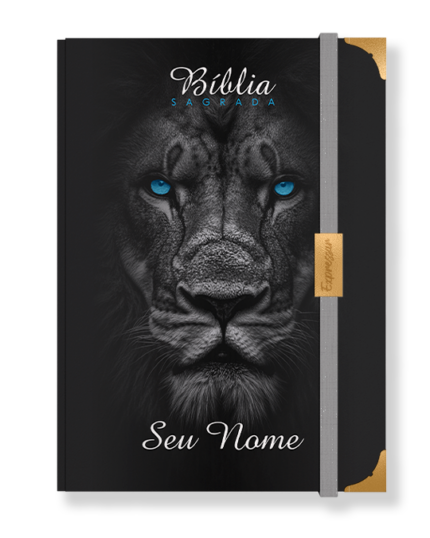 Bíblia em lombada - letra grande com harpa