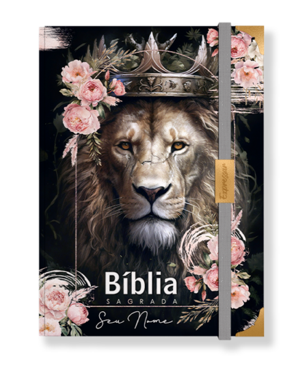 Bíblia em lombada - letra grande com harpa