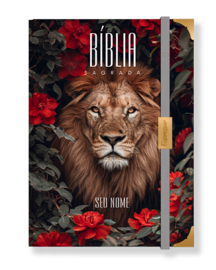 Bíblia em lombada - letra grande com harpa