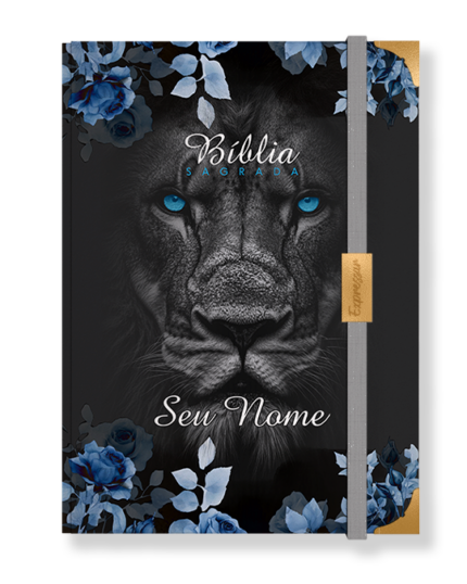 Bíblia em lombada - letra grande com harpa
