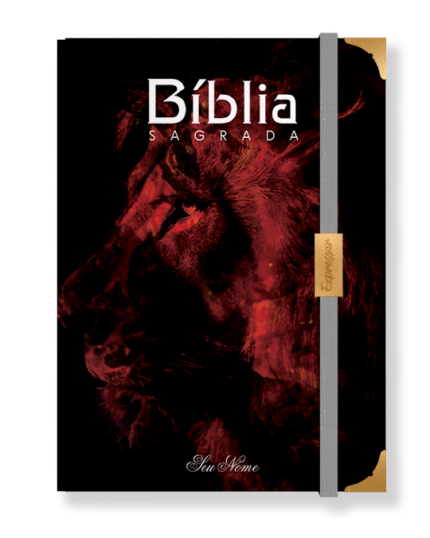 Bíblia em lombada - letra grande com harpa