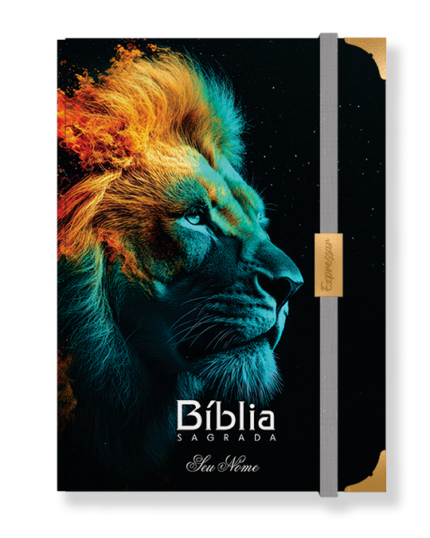 Bíblia em lombada - letra grande com harpa
