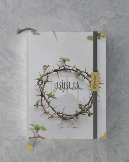 Bíblia em lombada - letra grande com harpa