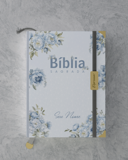 Bíblia em lombada - letra grande com harpa